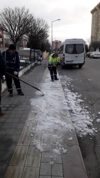 Budama Ve Kar Temizliği Çalışmaları
