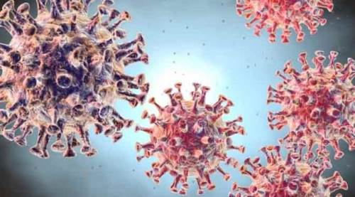 Bugün 23 kişi daha hayatını kaybetti