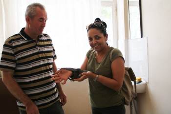 Bulduğu Ebabil Kuşunu Yetkililere Teslim Etti