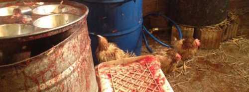 BUNLARI HALKA YEDİRECEKLERDİ