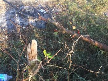 Bunu Yapan İnsan Olamaz
