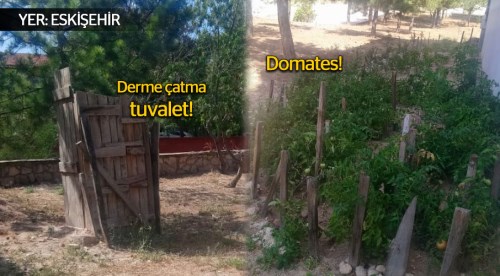 Burası Eskişehir'de bir okulun bahçesi!