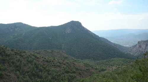 Burası Karadeniz değil Sarıcakaya