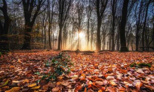 Burdur'da hava durumu nasıl olacak? (11 Kasım 2024)