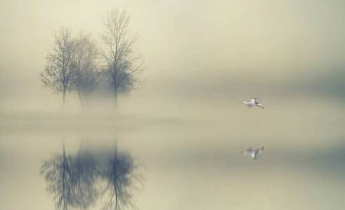 Burdur'da hava durumu nasıl olacak? (13 Kasım 2024)