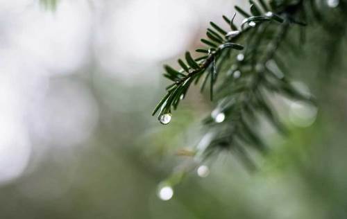 Burdur'da hava durumu nasıl olacak? (16 Aralık 2024)