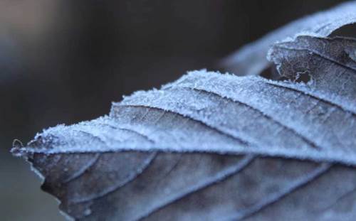 Burdur'da hava durumu nasıl olacak? (18 Aralık 2024)