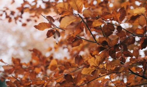 Burdur'da hava durumu nasıl olacak? (2 Kasım 2024)