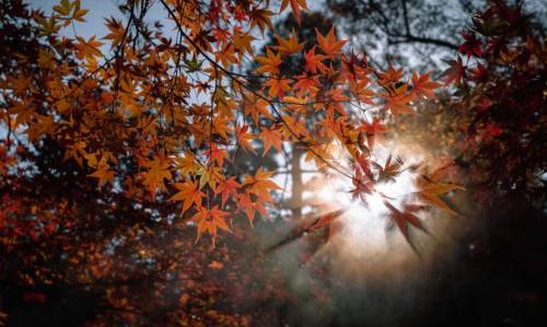 Burdur'da hava durumu nasıl olacak? (23 Aralık 2024)