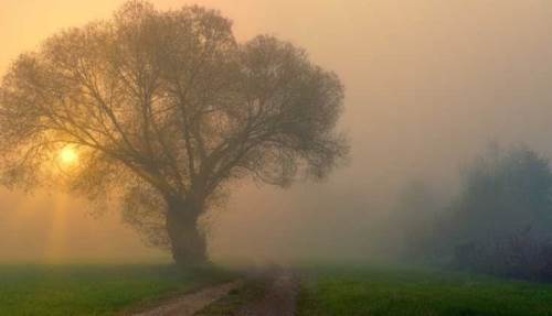 Burdur'da hava durumu nasıl olacak? (28 Ocak 2025)