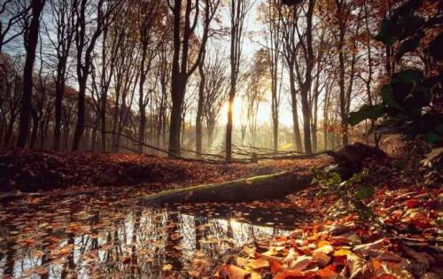 Burdur’da hava durumu nasıl olacak? (31 Aralık 2024)