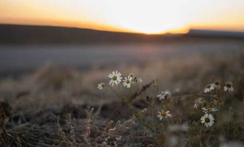  Burdur'da hava durumu nasıl olacak? (31 Ekim 2024)
