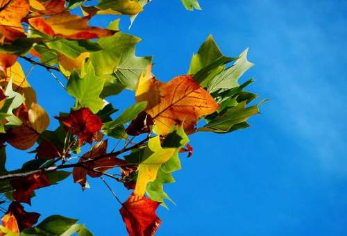 Burdur'da hava durumu nasıl olacak? (4 Kasım 2024)
