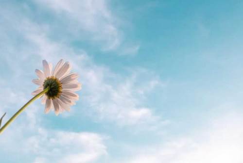 Burdur'da hava durumu nasıl olacak? (7 Kasım 2024)