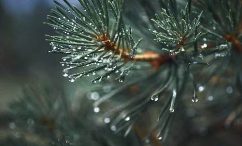 Burdur hava durumu - 22 Nisan 2025