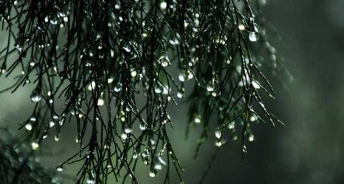 Burdur hava durumu - 29 Mayıs 2025