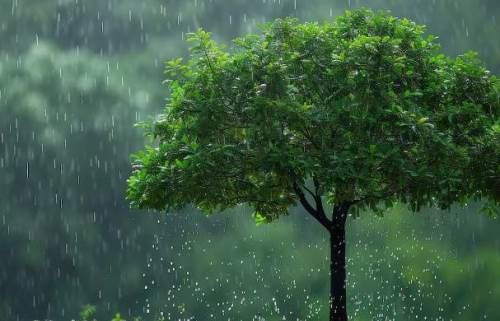 Burdur hava durumu - 3 Mayıs 2025