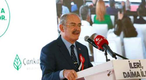 Bursa beton ormanına döndü, Eskişehir'de bir vaha ortaya çıktı