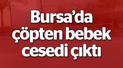 Bursa'da çöpten bebek cesedi çıktı