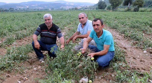 Bursa'yı dolu vurdu