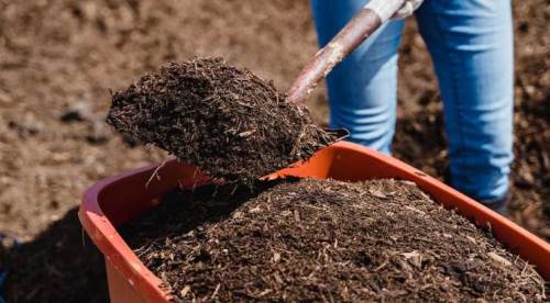 Büyük kampanya: Yem ve gübre fiyatlarına indirim!