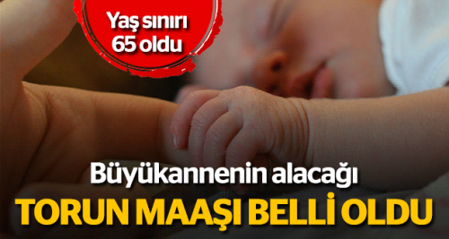 Büyükanneye torun maaşı belli oldu