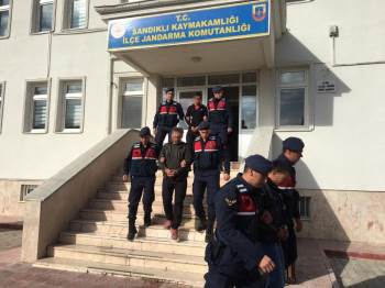 Büyükbaş Hayvanı Çalan Hırsızlar Serbest Bırakıldı
