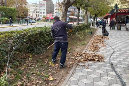 Büyükşehir Belediyesi ekiplerinden sonbahar temizliği