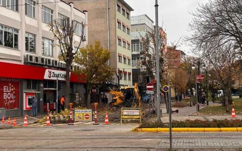 Büyükşehir Belediyesi’nden ağaç budama çalışmaları