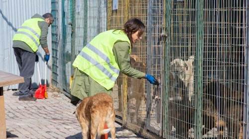 Büyükşehir Belediyesi örnek yatırıma imza attı