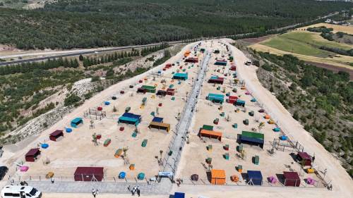Büyükşehir'den sokak hayvanları için hayati çağrı!