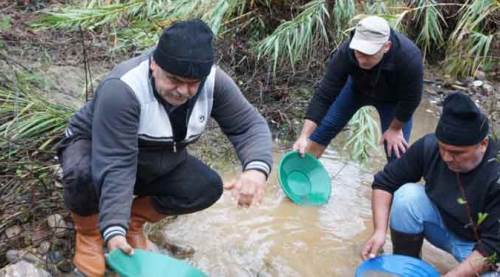 Buz gibi sudan altın toplayıp kuyumcuya satıyorlar!