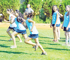 Çabukluk çalıştılar