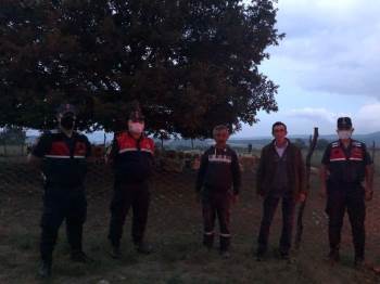 Çalındığı Dediği 140 Koyunu, Ağılın 300 Metre İlerisinde Bulundu
