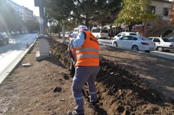 Çalışmalarla Refüjler Güzelleşecek
