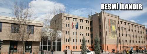 Çam kereste alımı