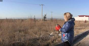 Cama Çarpan Atmacanın Tedavi Tamamlandı Ve Doğa Salındı

