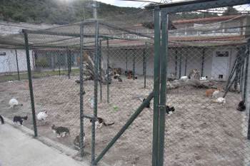 Can Dostlarımız Emin Ellerde
