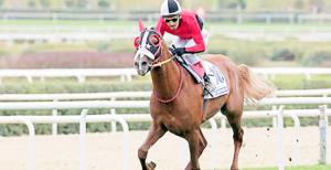 Cankardeşler'den tarihi zafer