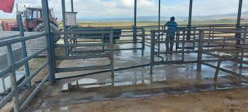 Canlı Hayvan Pazarında Dezenfekte Çalışması Yapıldı
