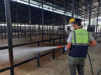 Canlı Hayvan Pazarında Temizlik, Dezenfeksiyon Ve Kireçleme Çalışmaları Tamamlandı
