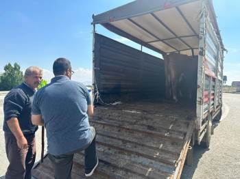 Canlı Hayvan Taşımacılığına Yönelik Denetim Yapıldı
