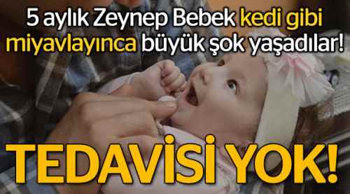 Çaresizce çocuklarını büyütüyorlar