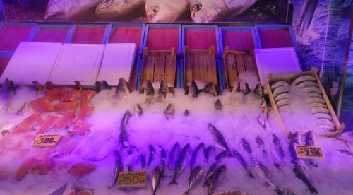 Çarşıdaki balık fiyatları adeta cep yakıyor. 