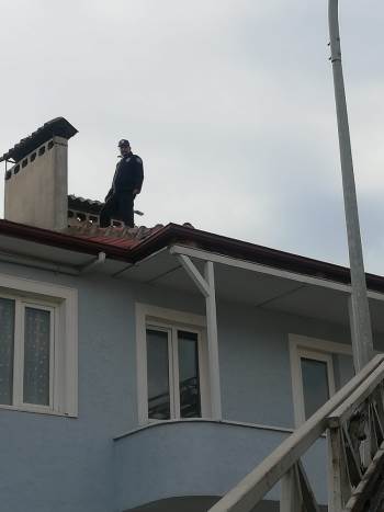 Çatıda Mahsur Kalan Kediyi İtfaiye Ekipleri Kurtardı
