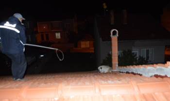 Çatıda Mahsur Kalan Köpek İtfaiye Ekiplerince Kurtarıldı
