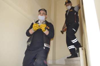 Çatıda Mahsur Kalan Yavru Kediyi İtfaiye Ekipleri Kurtardı
