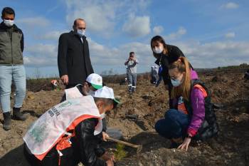 Çavdarhisar, ’Geleceğe Nefes’ İçin Fidan Dikti
