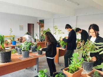 Çavdarhisar’Da ’’Süs Bitkileri Yetiştiriciliği’’ Kursu
