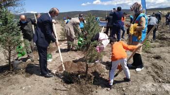 Çavdarhisar’Da 10 Bin Fidan Toprakla Buluştu
